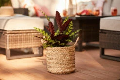 PENELOPE JAMES WATER HYACINTH BASKET SET OF 3