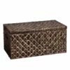 Southern Enterprises Fulton 8-cu Ft Brown Water Hyacinth Composite Wood Storage Trunk