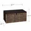 Southern Enterprises 5-cu Ft Brown Water Hyacinth Composite Wood Storage Trunk