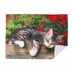 IH Casa Decor Lazy Cat Microfibre Drying Mat - Set Of 2