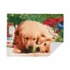 IH Casa Decor Dogs Chewing Ball Microfibre Drying Mat - Set Of 2