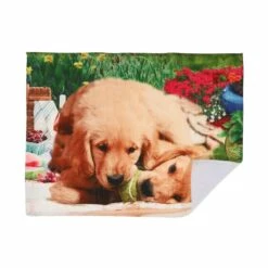 IH Casa Decor Dogs Chewing Ball Microfibre Drying Mat - Set Of 2